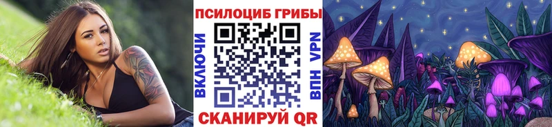 Купить закладки  Курск  Галлюциногенные грибы Magic Shrooms 